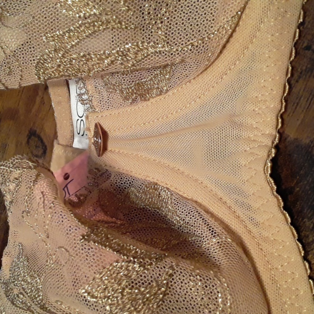 Nwot 38d Sofia Intimates By Sofia Vergara Gold Be… - image 3